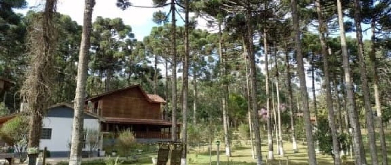Clínicas de Recuperação Instituto Nova Vida em Guarulhos- SP