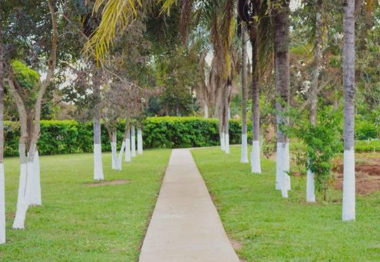 Instituto Nova Vida – Clínica de Recuperação em Caieiras SP e Região | Dependência Química e Alcoolismo